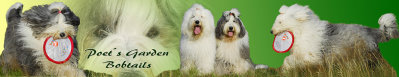 Banner Poetsgarden