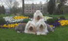 Fr�hlingserwachen im Schlosspark Altenstein