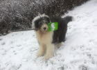 Let' it snow.