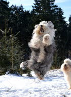 Wo bleibt denn nur der Winter.