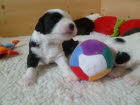 Jetzt gehts los - Fu�ball