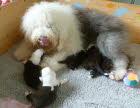 Kuscheln mit Mama