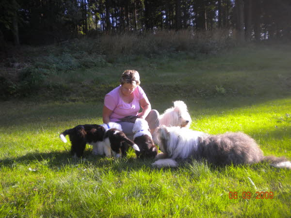 Picknick im Gr�nen