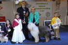 Nat. Erfurt 2015 Bester Veteran in Show
