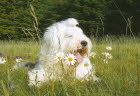 Endlich Fr�hling