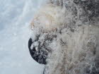 Schneenase