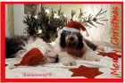 Weihnachten2021