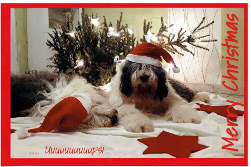 Weihnachten2021