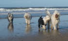 Urlaub in D�nemark 2011