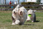 Fit in den Fr�hling 2012