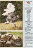 Ein Herz f�r Tiere