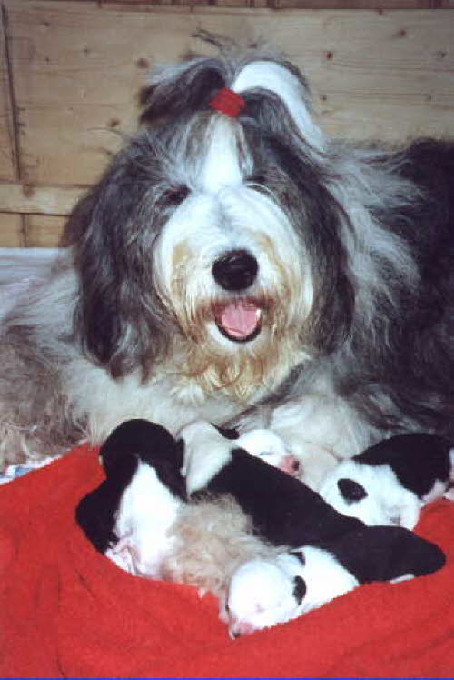 Mama
