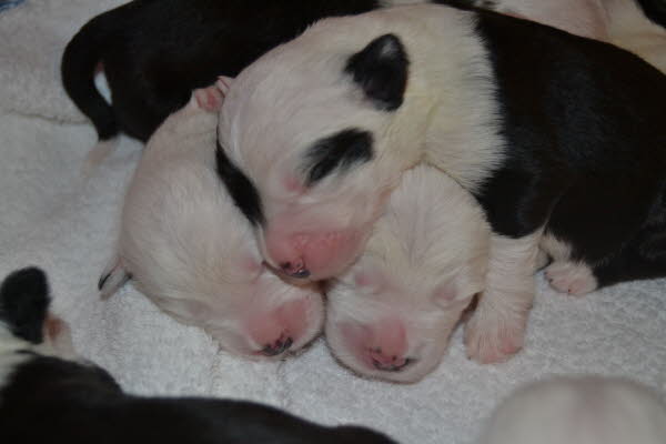 und kuscheln