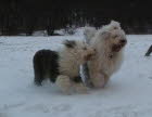 Winter 2012