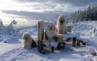 Winter am Rennsteig