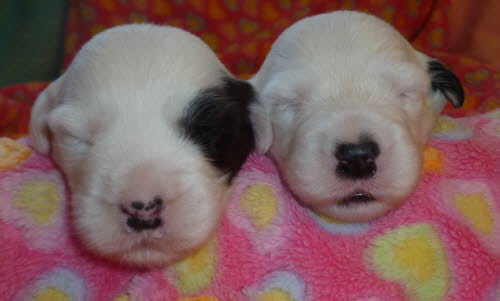 2 Woche - 2 Jungs